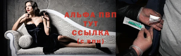 винт Пересвет