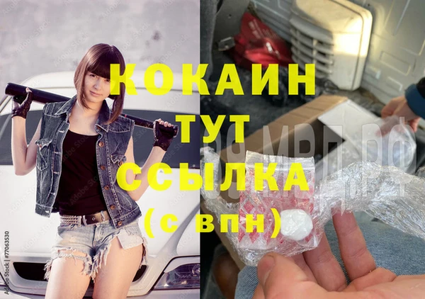 винт Пересвет