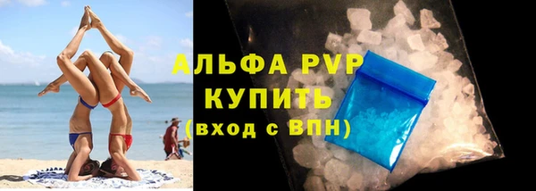 винт Пересвет