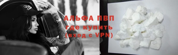винт Пересвет