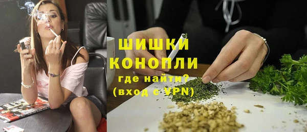 винт Пересвет