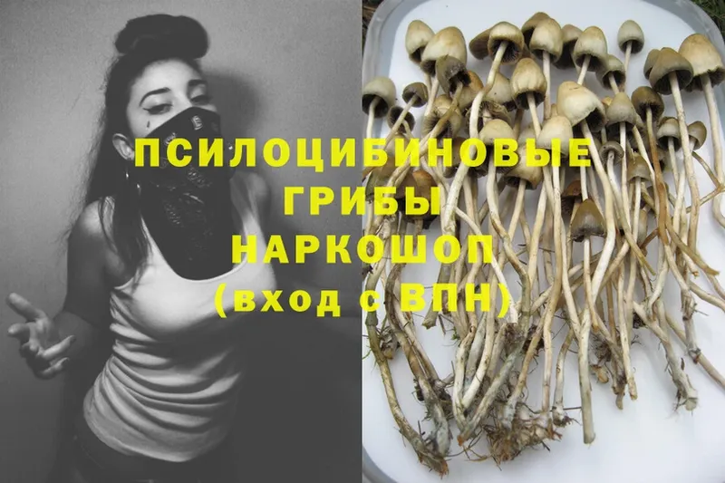 ссылка на мегу как войти  площадка формула  Псилоцибиновые грибы Psilocybe  Сергач 