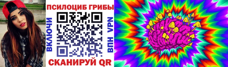 mega вход  Сергач  Псилоцибиновые грибы мицелий  наркотики 